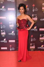 at Screen Awards red carpet in Mumbai on 12th Jan 2013 (422).JPG